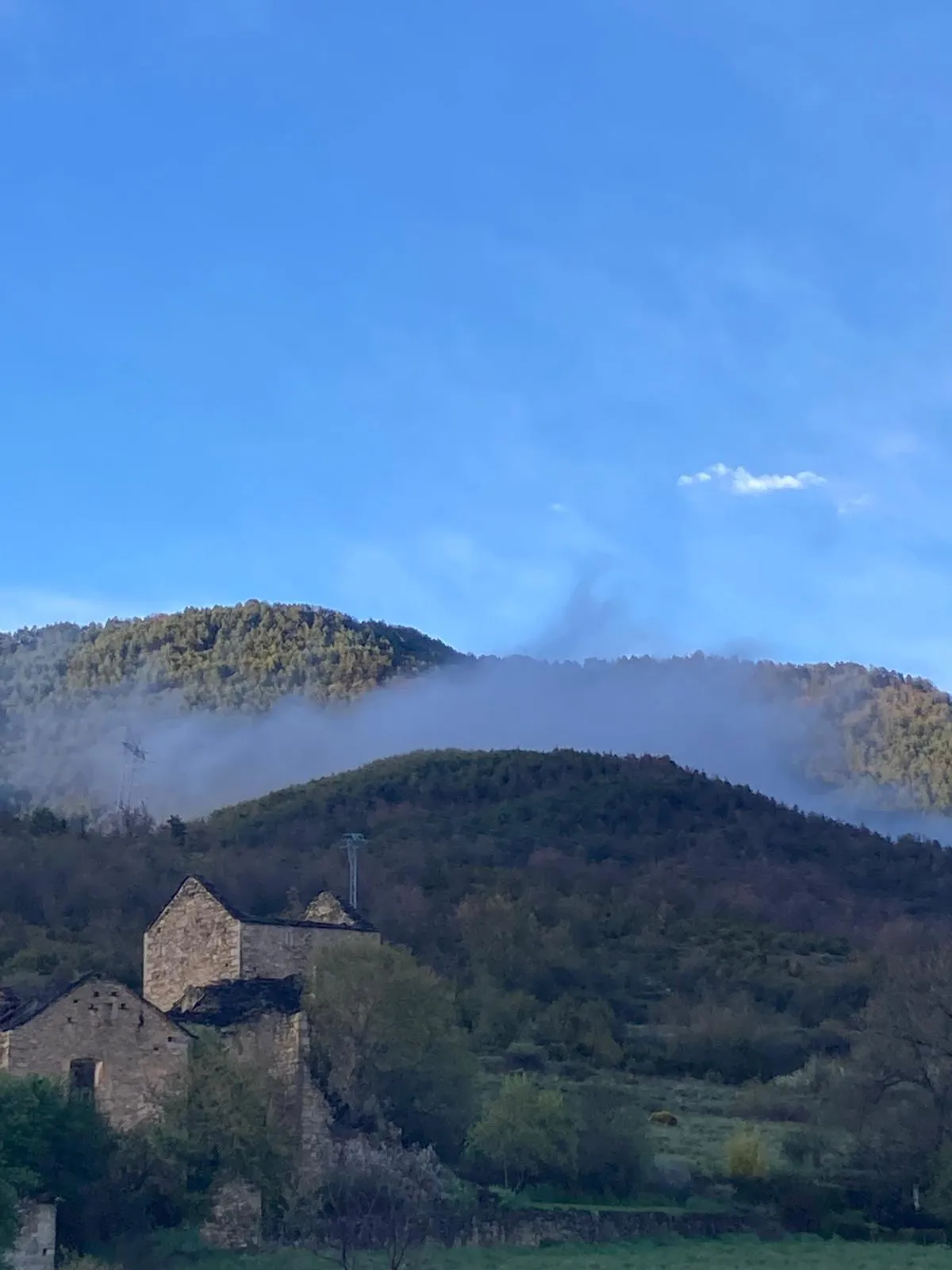 Campo y árboles en el entorno natural del alojamiento rural.