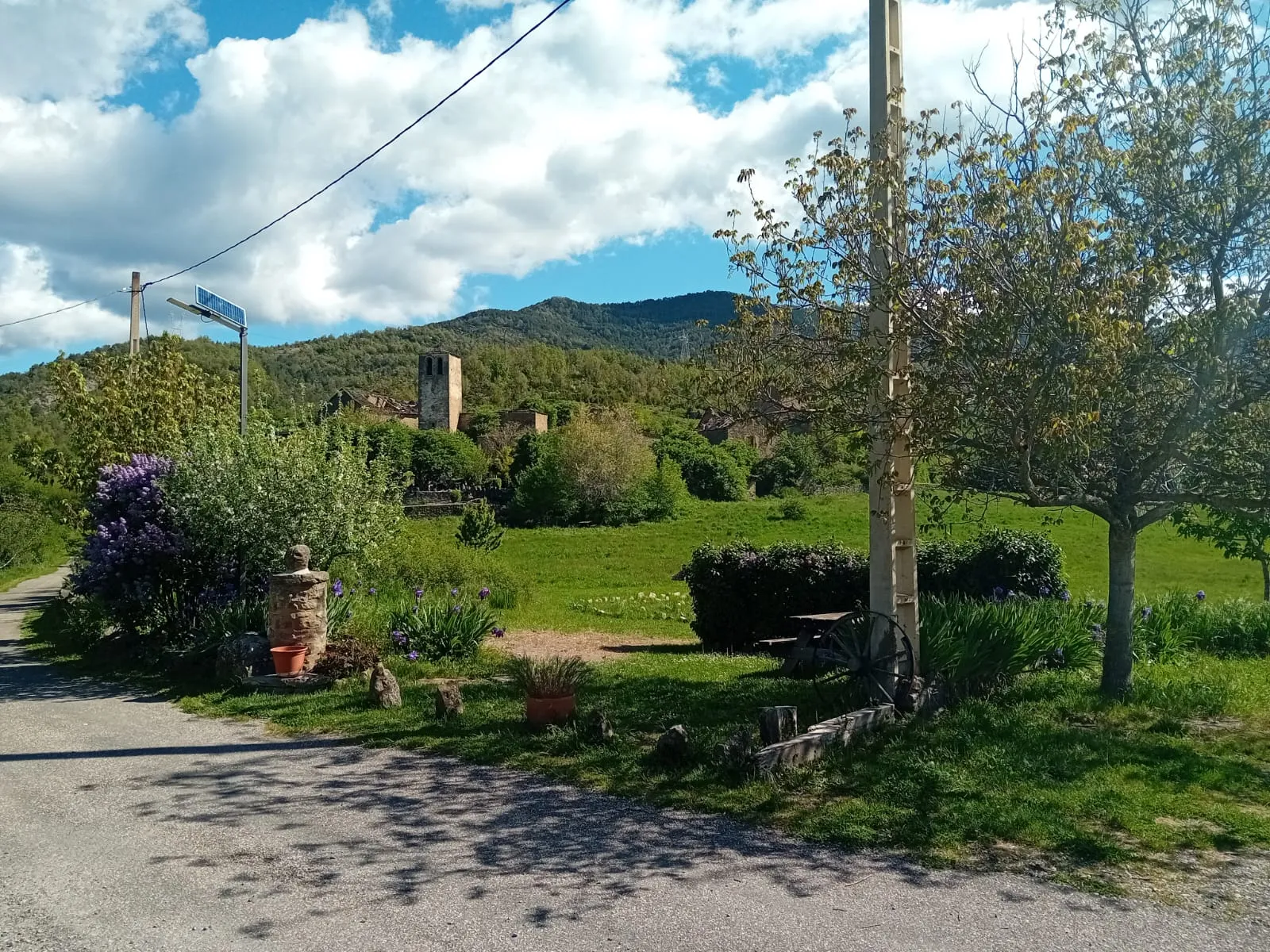 Praderas y árboles alrededor de Casa Rural Gillué.